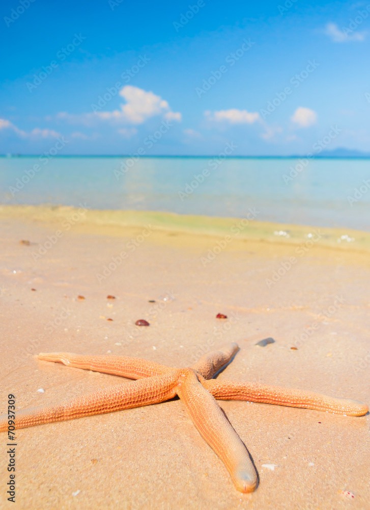 Under the Sun Natural Details