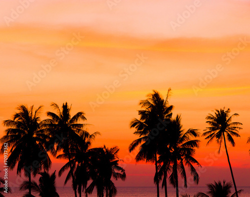 Tree Silhouettes Sunset Divine © alma_sacra
