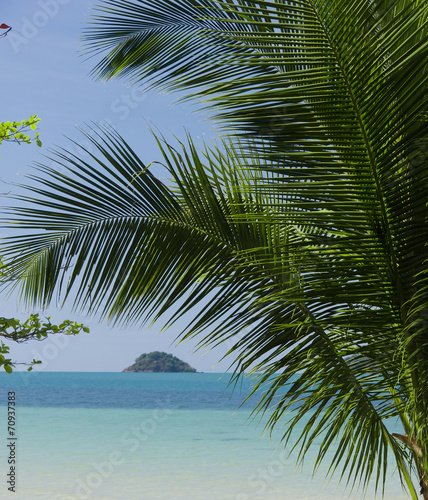 Coconut Coast Jungle Lagoon © alma_sacra