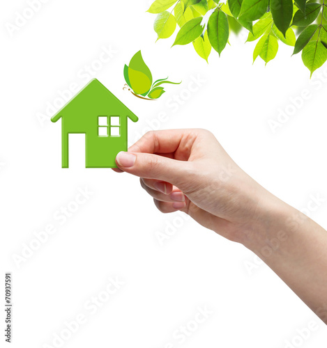 Hand picking green home and butterfly