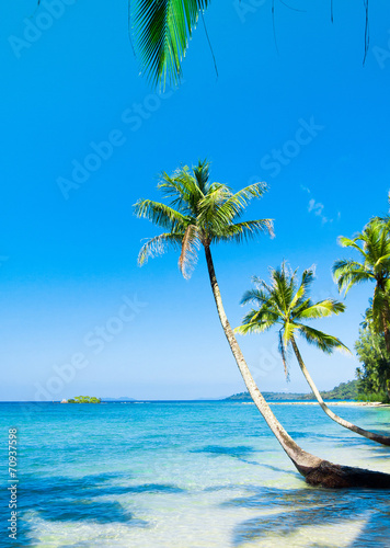 Fototapeta Naklejka Na Ścianę i Meble -  Idyllic Island Beautiful Beach