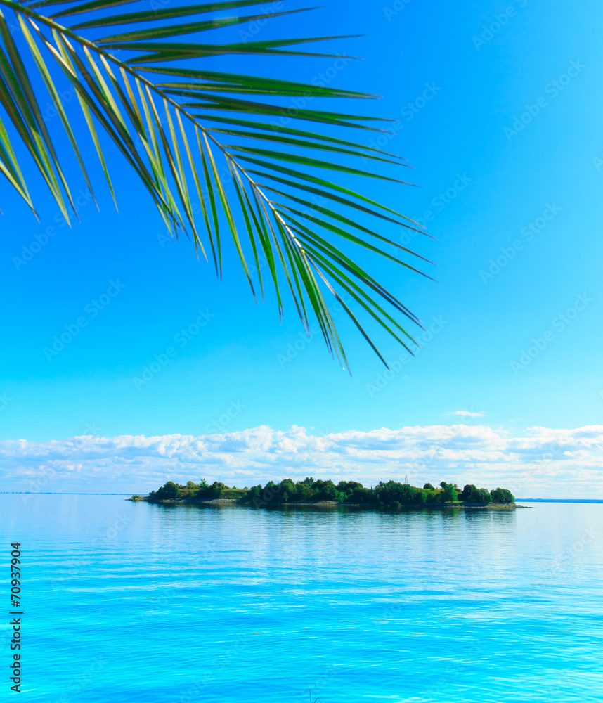 Palm Island Sunshine