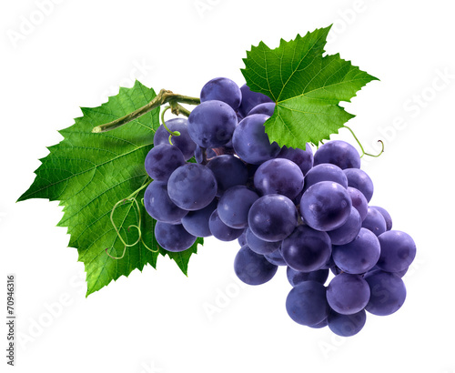 Purple grapes bunch isolated on white background