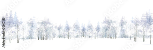 Vector winter scene with forest background isolated on white.