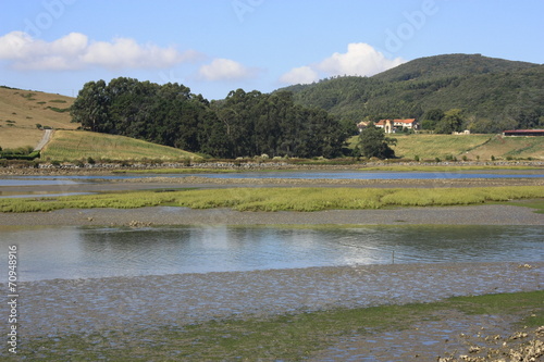 Marismas de Santoña, Santander. Cantabria