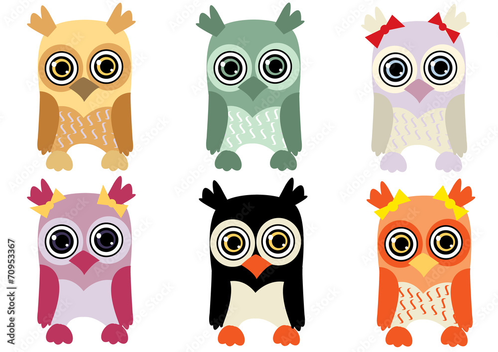 Fototapeta premium sowy