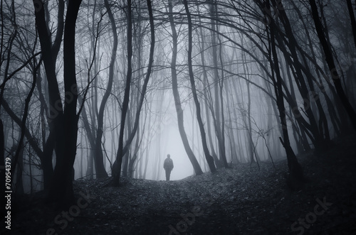 Fototapeta Naklejka Na Ścianę i Meble -  man walking on a dark path through a spooky forest