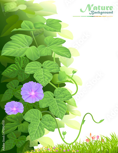 Nature Fantasy: Mystical plant under sunlight