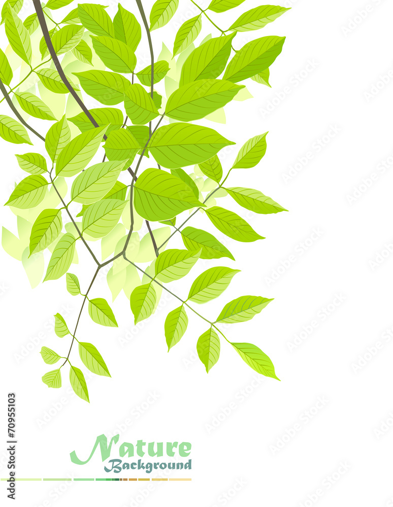 Nature Fantasy: Peaceful leaves of tranquillity Nature Fantasy: Peaceful leaves of tranquillity