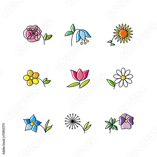 Set of Nine Flowers Isolated on White Background