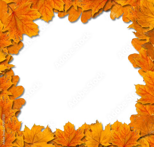 Bright autumn leaves on a white background isolated