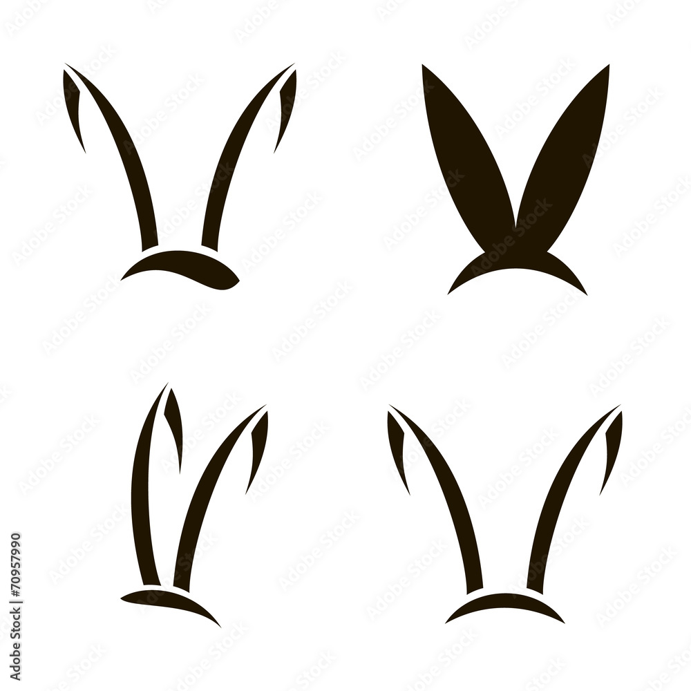 Image of an rabbit on white background Image of an rabbit on white background
