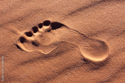 footprint desert