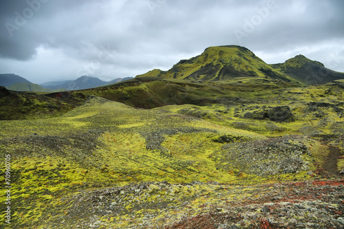 Volcanic landscape covered with moss photo