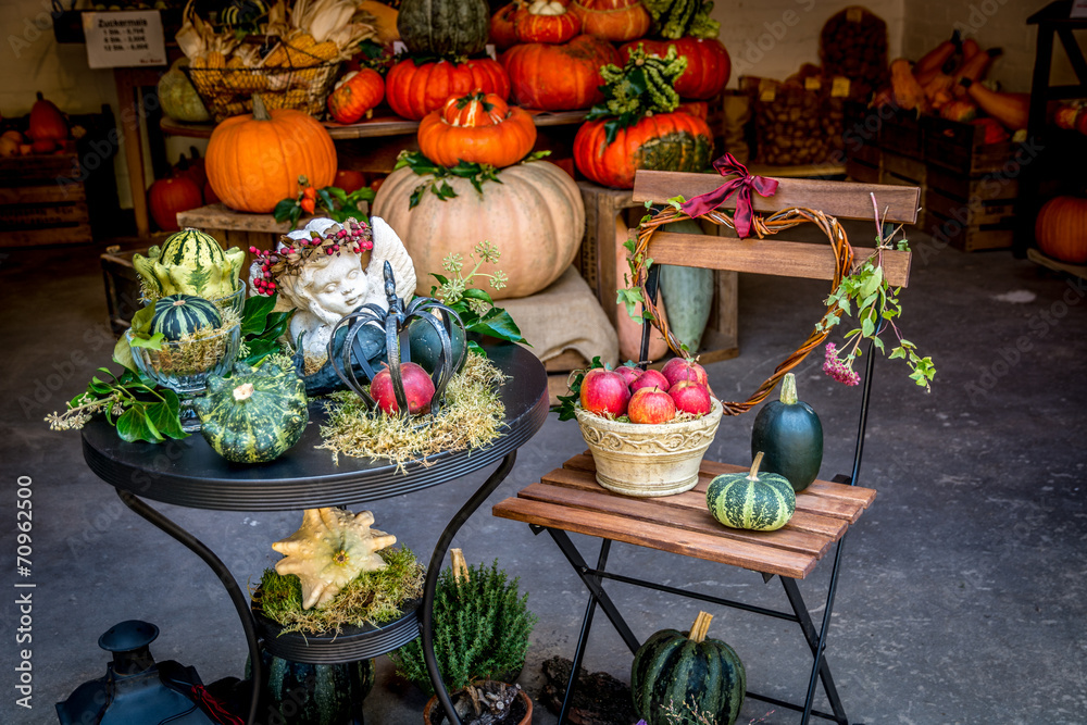 Fototapeta premium Pumpkin paradise