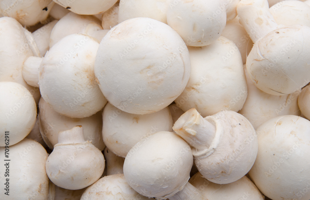 Fresh button mushrooms Fresh button mushrooms