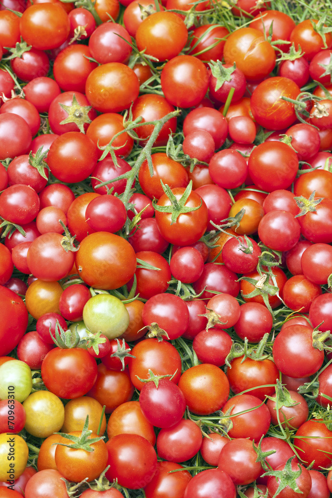 Backround of red tomatoes