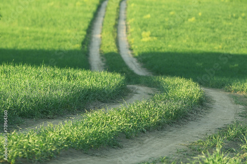 summer road in the grass field