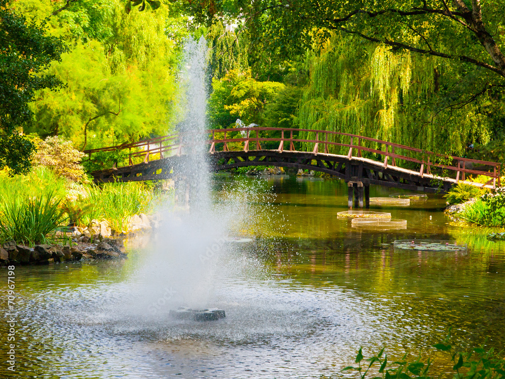 Lake fountain in a park