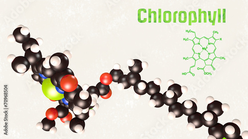 Chlorophyl von der Seite photo