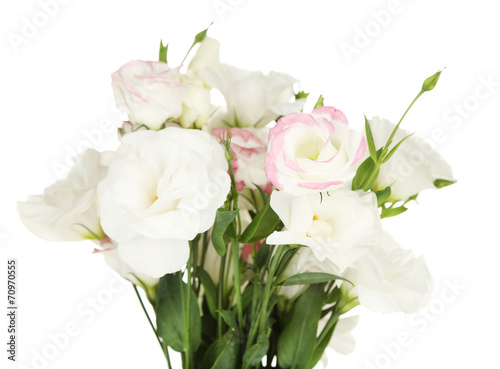 Beautiful eustoma flowers  isolated on white