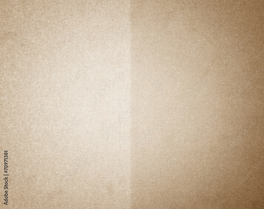 Fototapeta premium Cardboard texture or background
