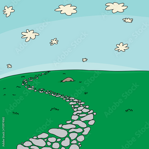 Path in Grass Background