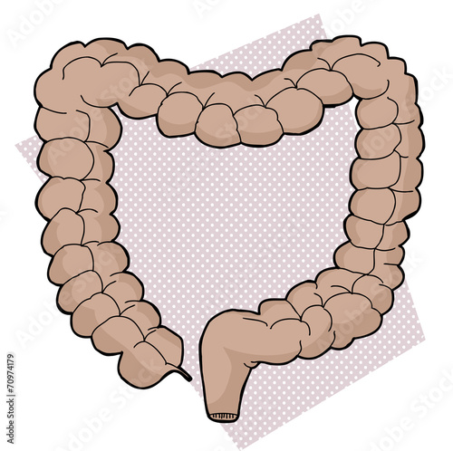 Large Intestine on Purple