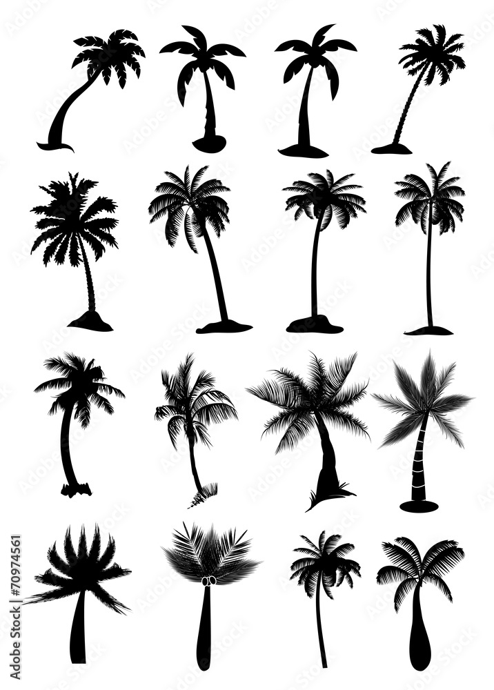 Palm tree icons set