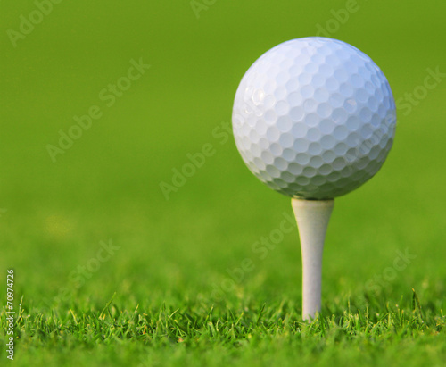 Golf ball on green grass. Closeup