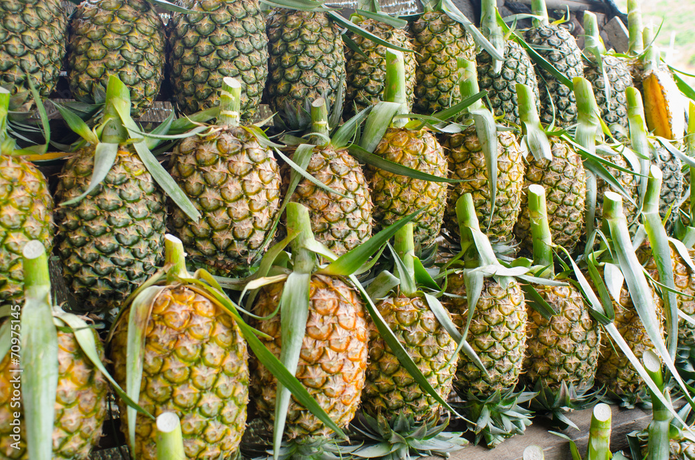 A lot of pineapple A lot of pineapple