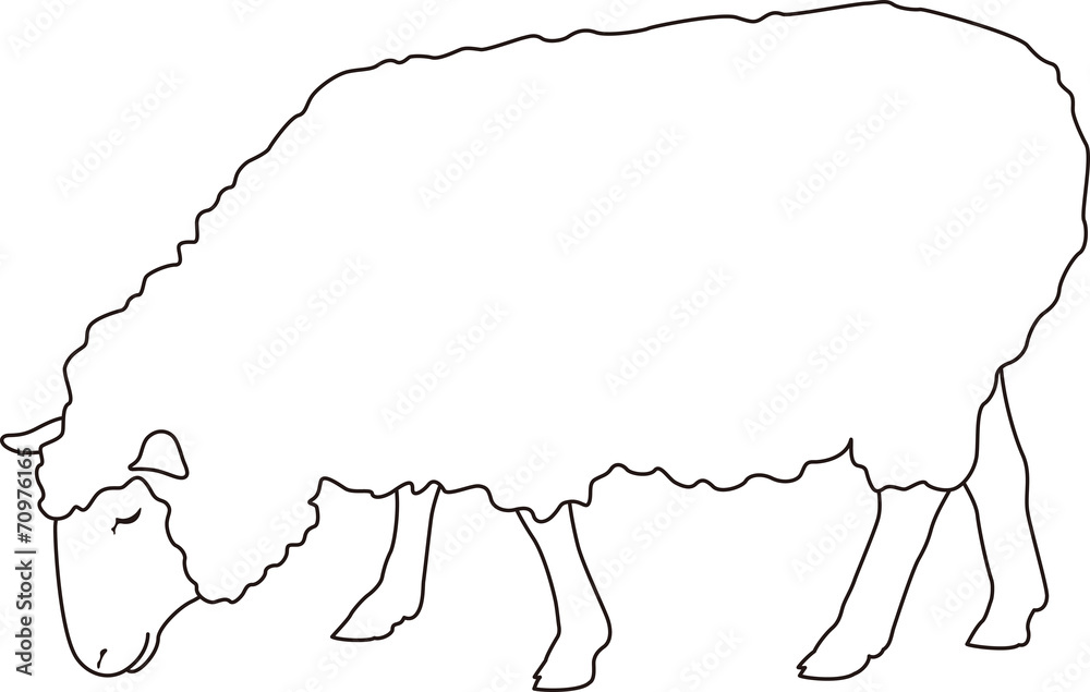 Fototapeta premium 羊 横向き アウトライン