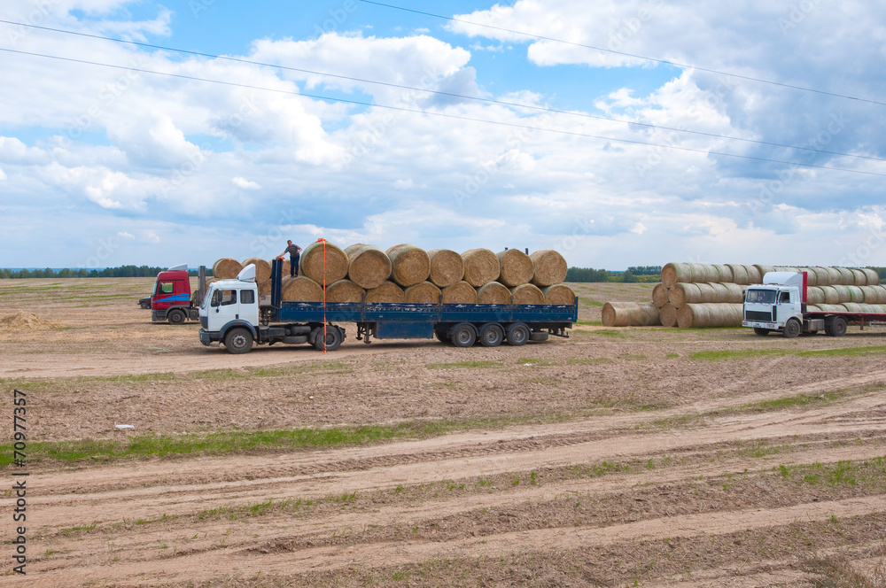 Obraz premium Farm operations in the field.