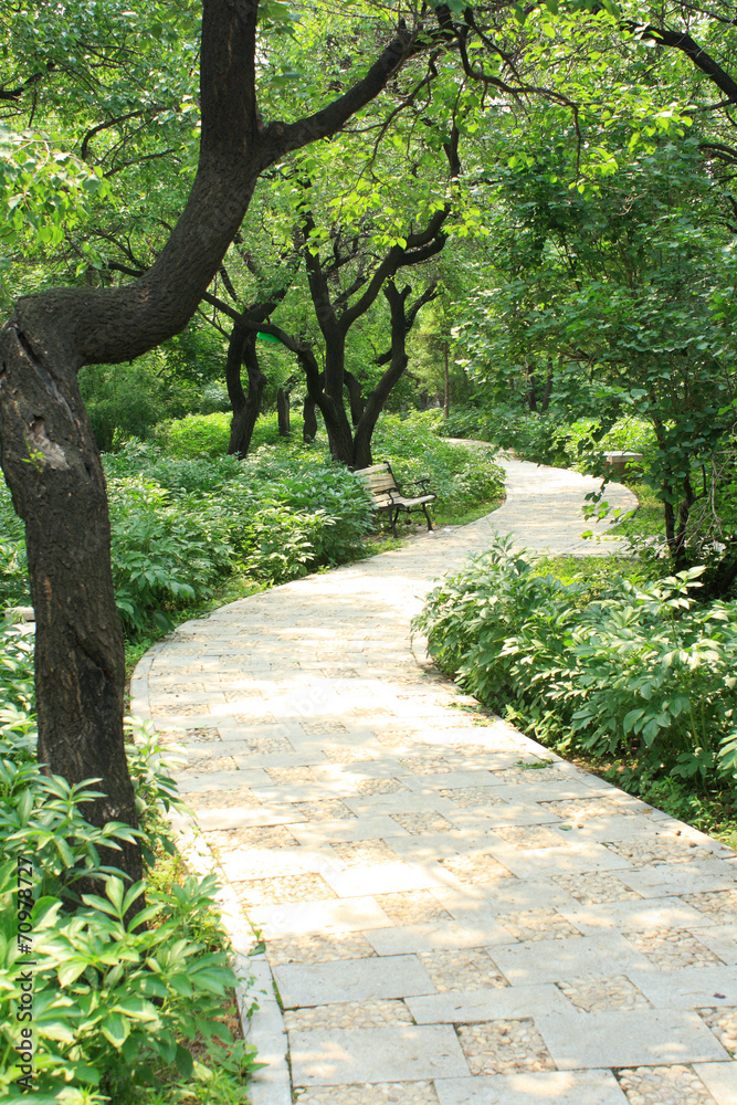 Fototapeta premium Garden Path