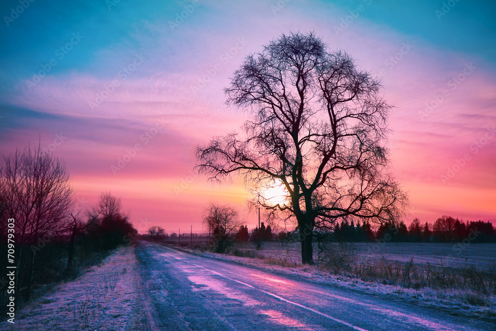 Beautiful winter sunrise over road