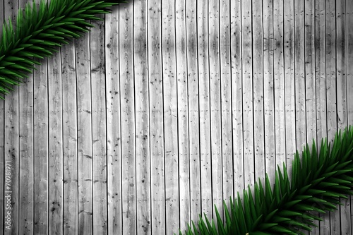 Fir branches on wooden planks