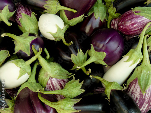 fresh harvested home grown eggplants of different varieties photo