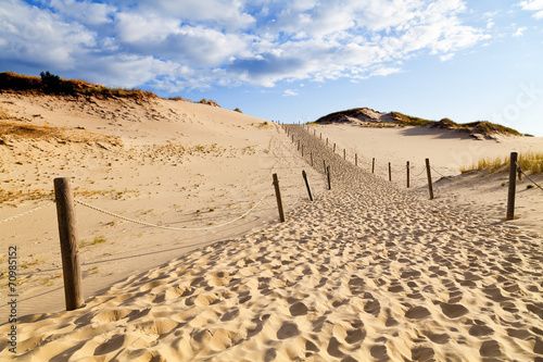 Sand dunes on the Baltic coast in the morning