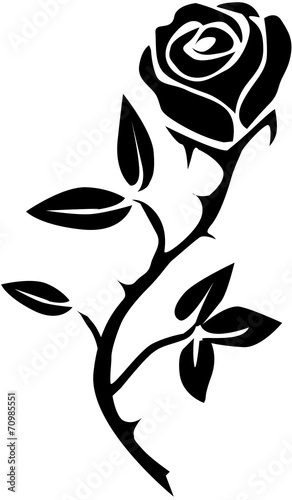 Elegant rose