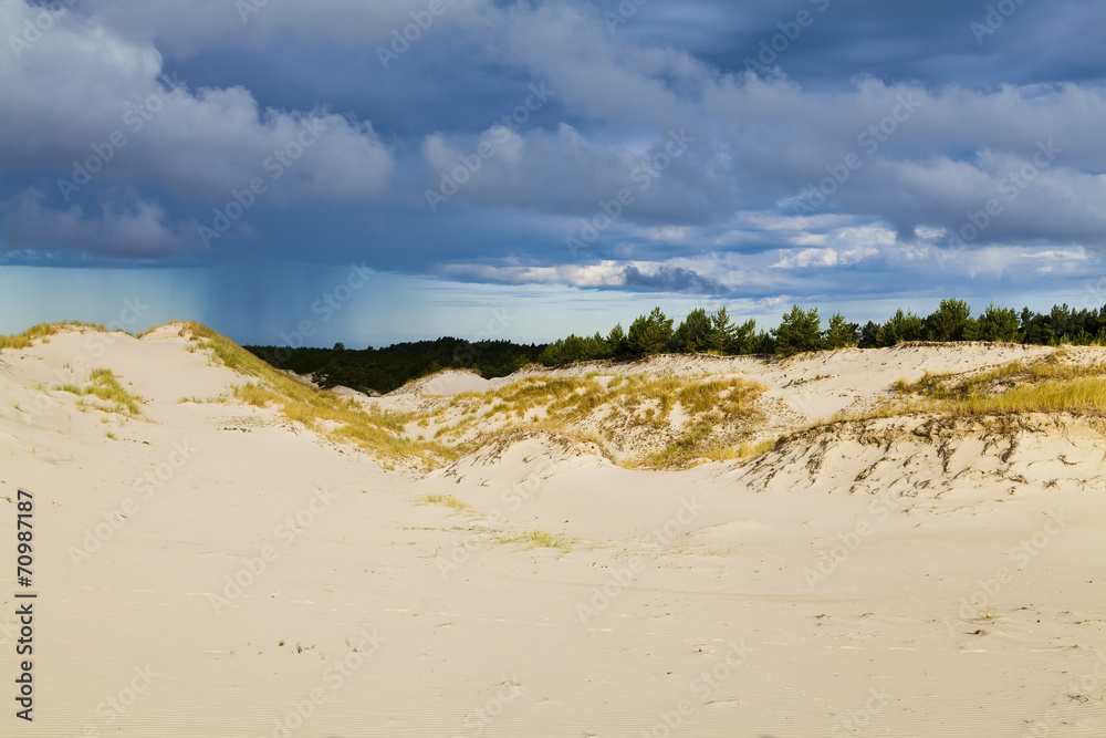 Sand dunes on the Baltic coast in the morning