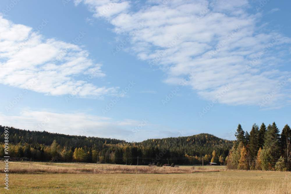 Lanscape with al lot of blue sky