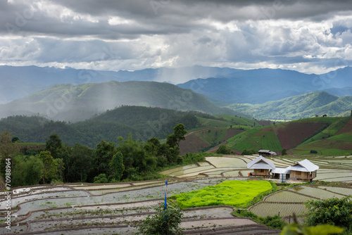 Φωτογραφία terraces field with farmer Mae Jam, Chiang Mai, Thailand