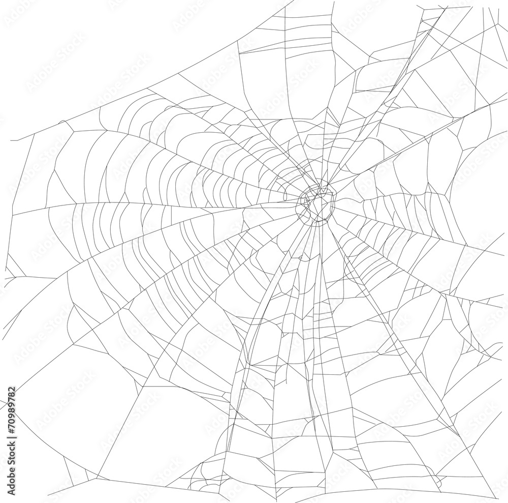 large old black spider web illustration