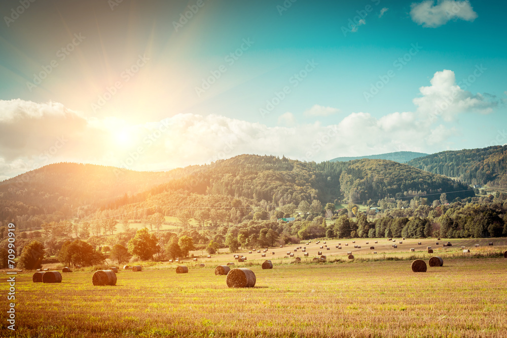 Obraz premium Hay bail harvesting