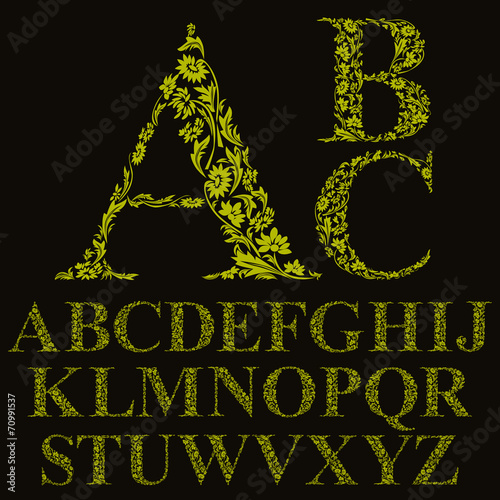 Vintage style floral letters font, vector alphabet.
