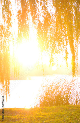 overexposed sun on the shore of the river in autumn