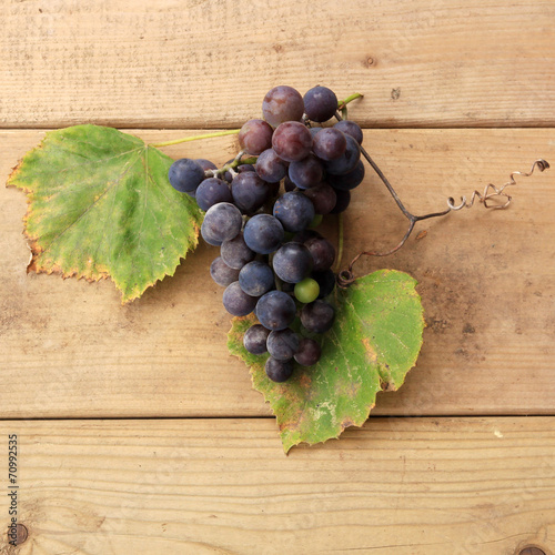 Concord grape with wine leaves on wood background