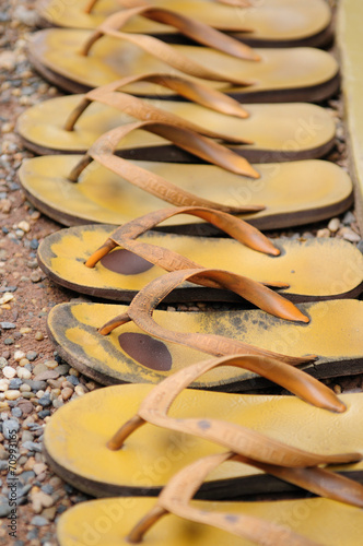 flippers