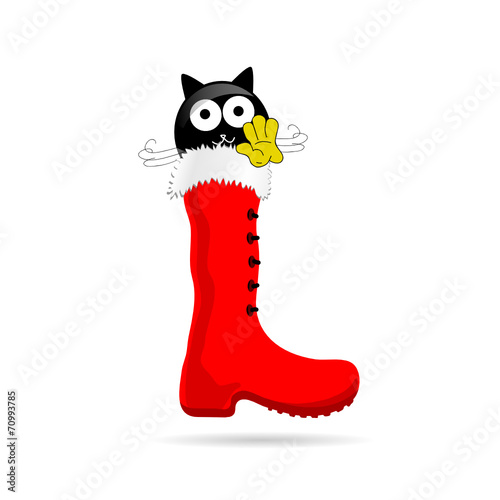 cat with white eye and new year boot color vector