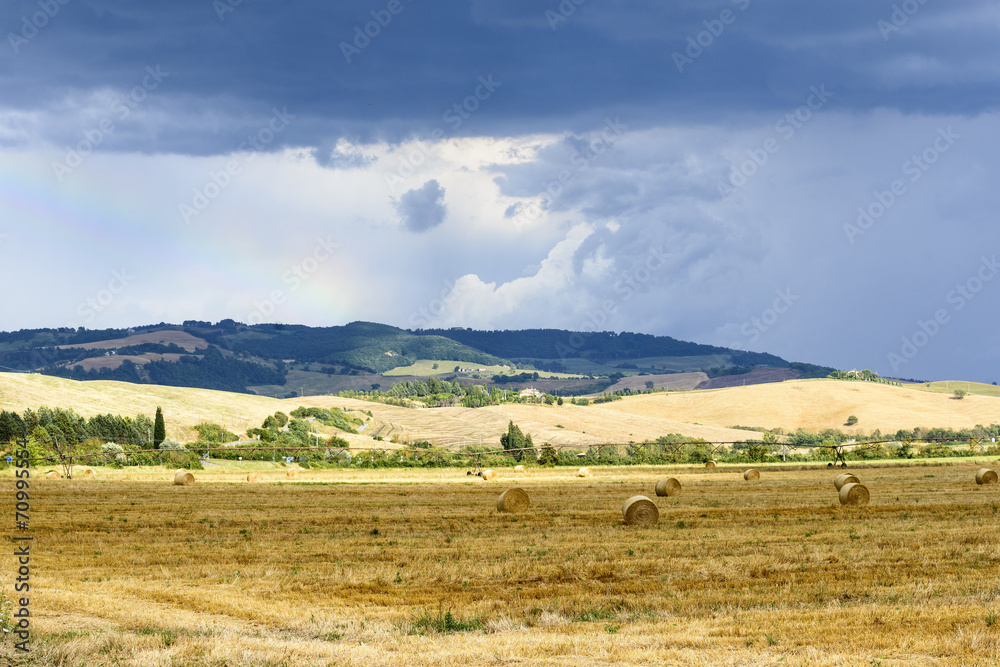 Fototapeta premium Country landscape in Tuscany